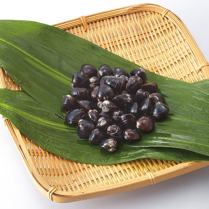 Yamato Shijimi Clams from Lake Shinji